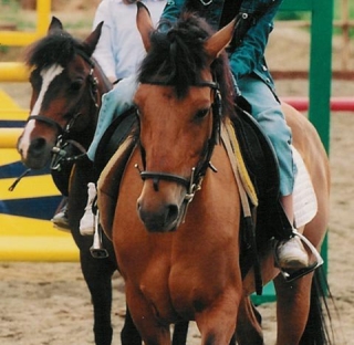 Compagnia Equestre Guelfi Neri